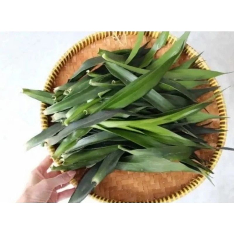 

Daun suji segar/200 gram