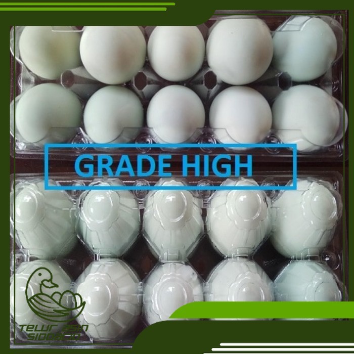 

Telur Asin Bebek Matang Masir Berminyak Orange Tidak Amis