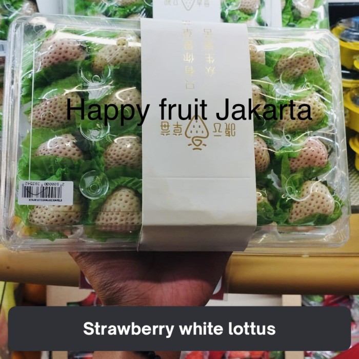

Strawberry white lottus korea manis fresh | Buah strawberry white pack
