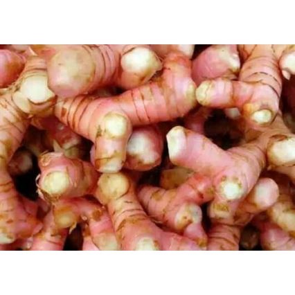 

Lengkuas / laos 250 gram