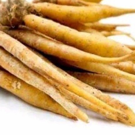 

Temu kunci temu kunci segar fresh 100gram termurah