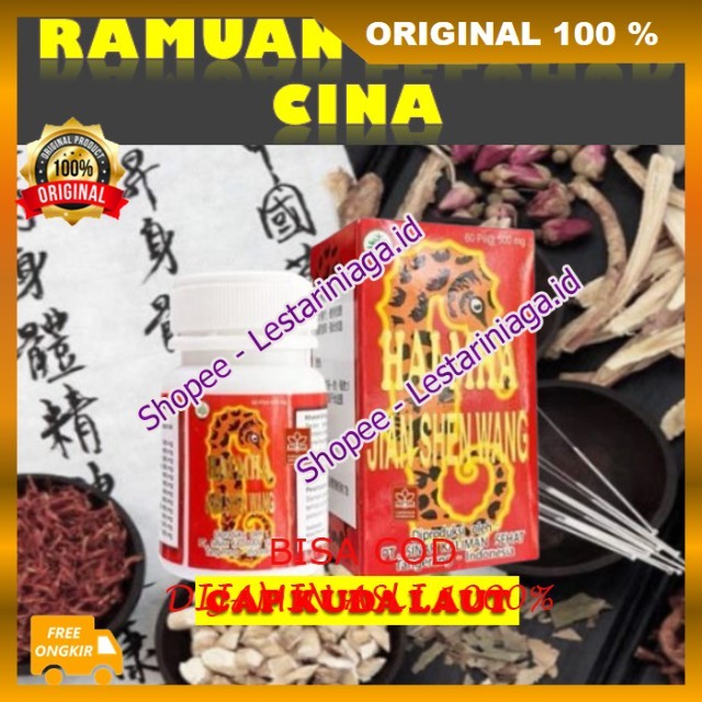 Pil China Cap Kuda Laut Obat Herbal Cina 5X Bantu Memelihara Kesehatan , Fungsi Ginjal , Meningkatka