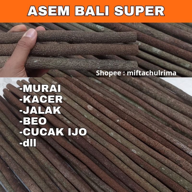 TANGKRINGAN ASEM BALI GRADE A SUPER MURAI, KACER, CUCAK IJO DLL