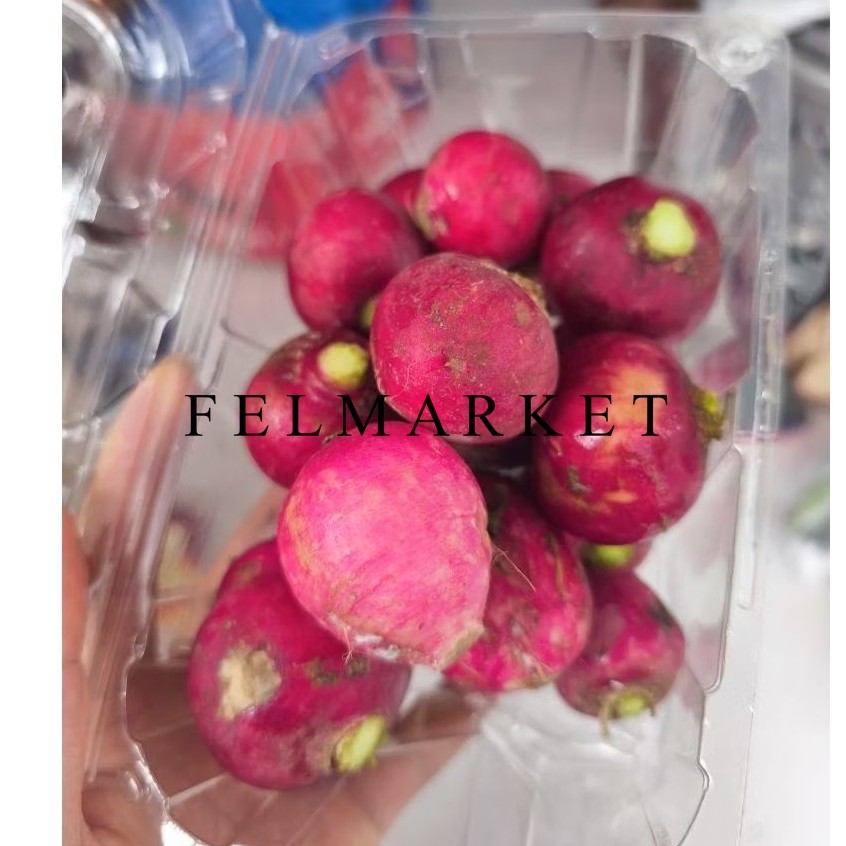 

Red Radish Fresh / Lobak Merah Bulat / Sayur Lobak Merah Red Radish / 500 gr