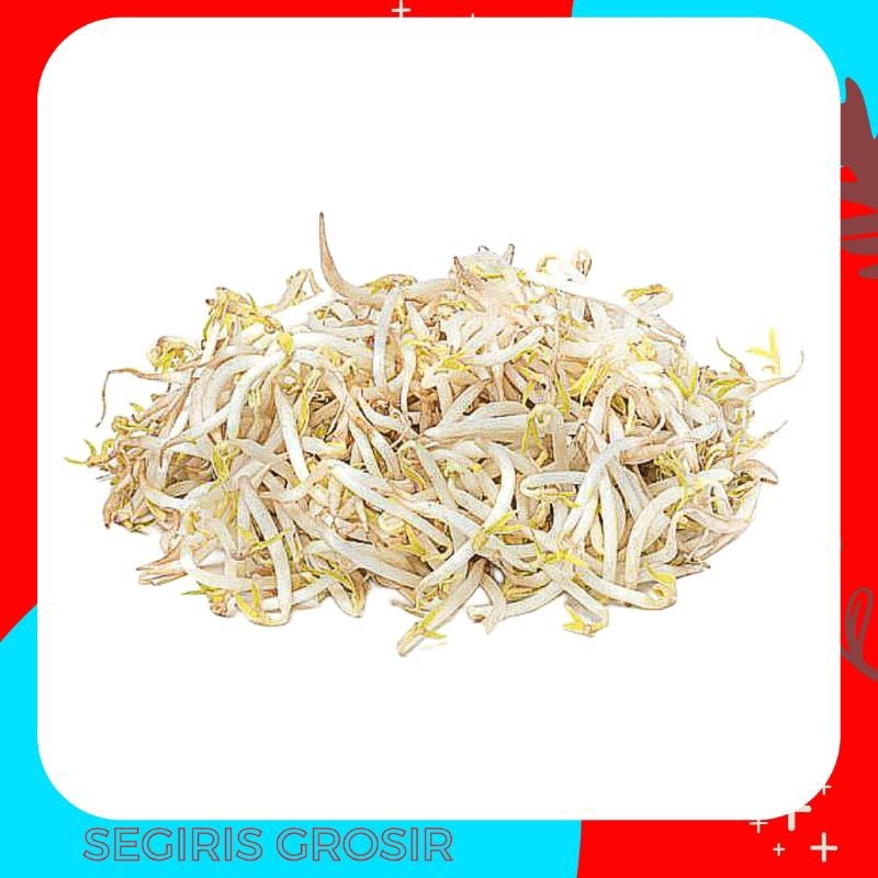 

Toge Panjang Kecambah Segar 250 gr