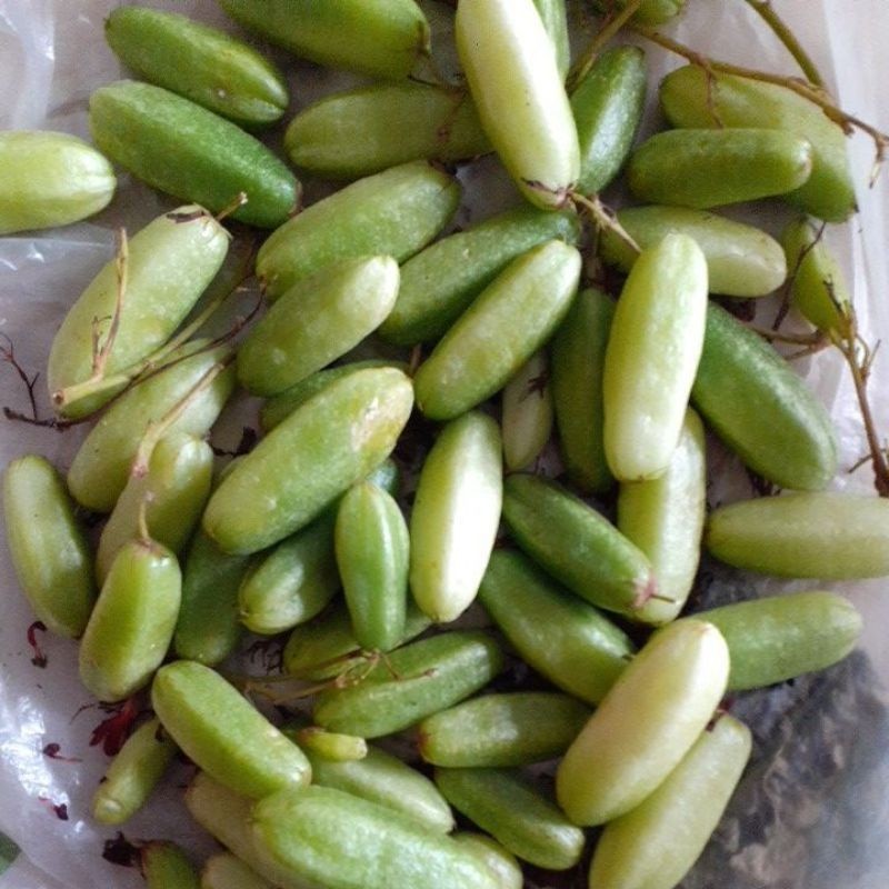 

belimbing wuluh per 1kg segar