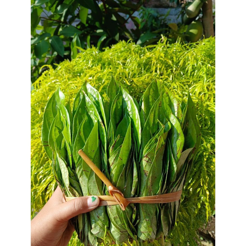 

NEW SIRIH SUPER 1 IKAT PREMIUM