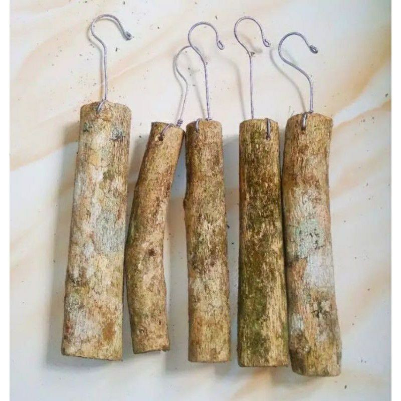 media tanam anggrek kayu kopi/media tanam anggrek gantung kayu kopi