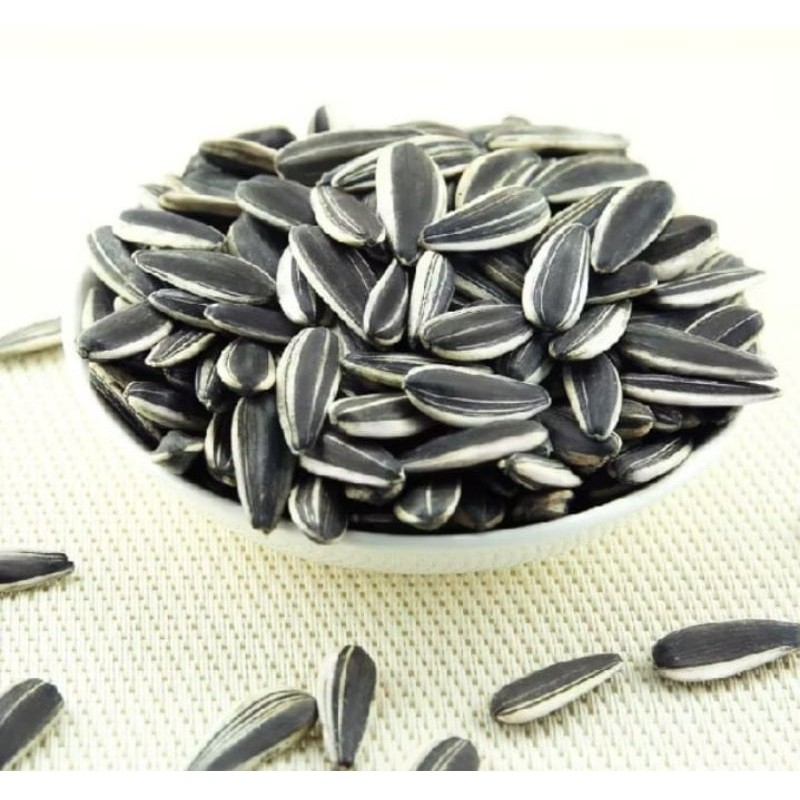 biji benih bunga matahari [250 biji++}