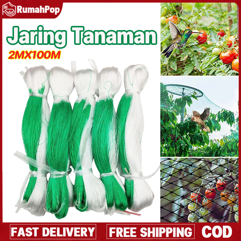 100M Jaring Rambatan Tanaman Buah Merambat Plant Climbing Net Kebun Buah Anggur / Lanjaran Tanaman M