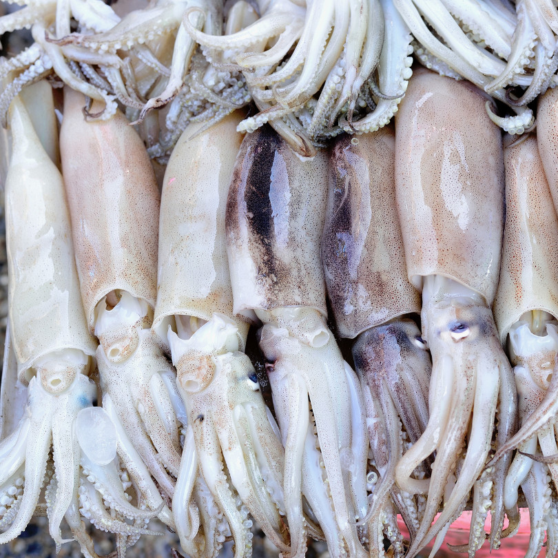 

Cumi Kondom Segar 1kg