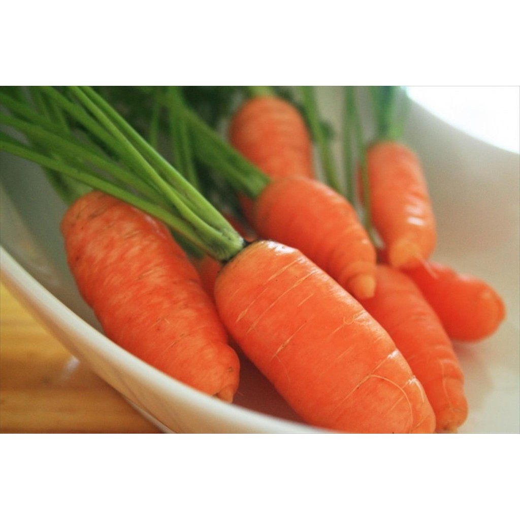 

WORTEL KECIL / BABY CARROT MANIS 500 GR SEGAR