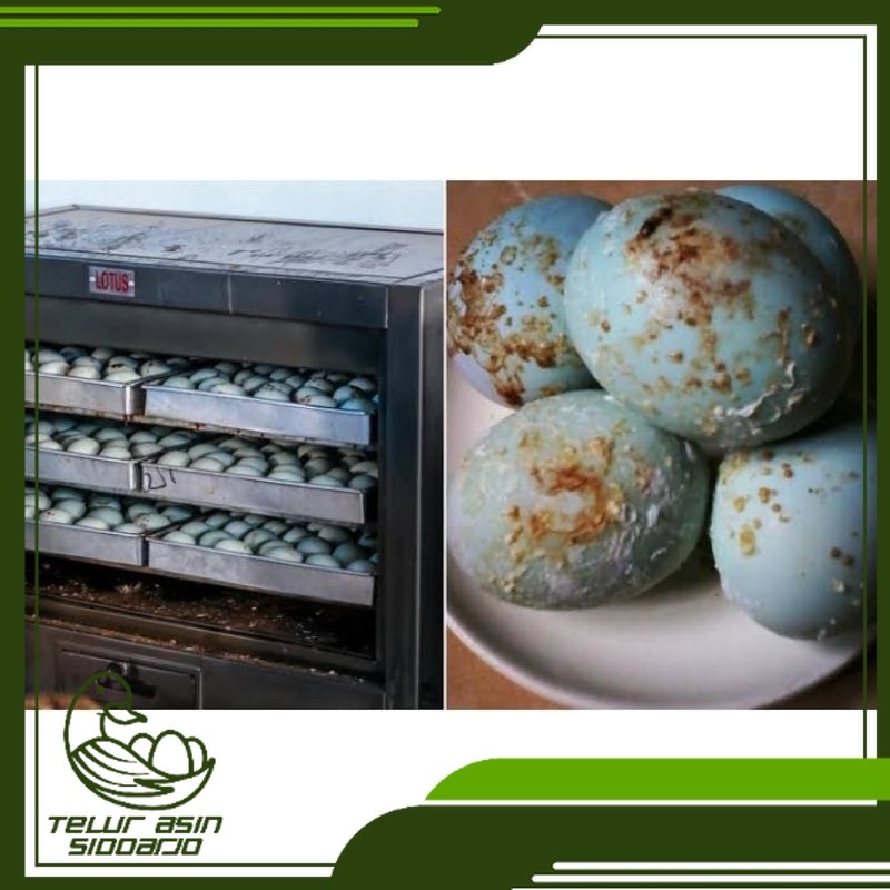 

PROMO / TELUR ASIN OVEN ORGANIK ISI 10