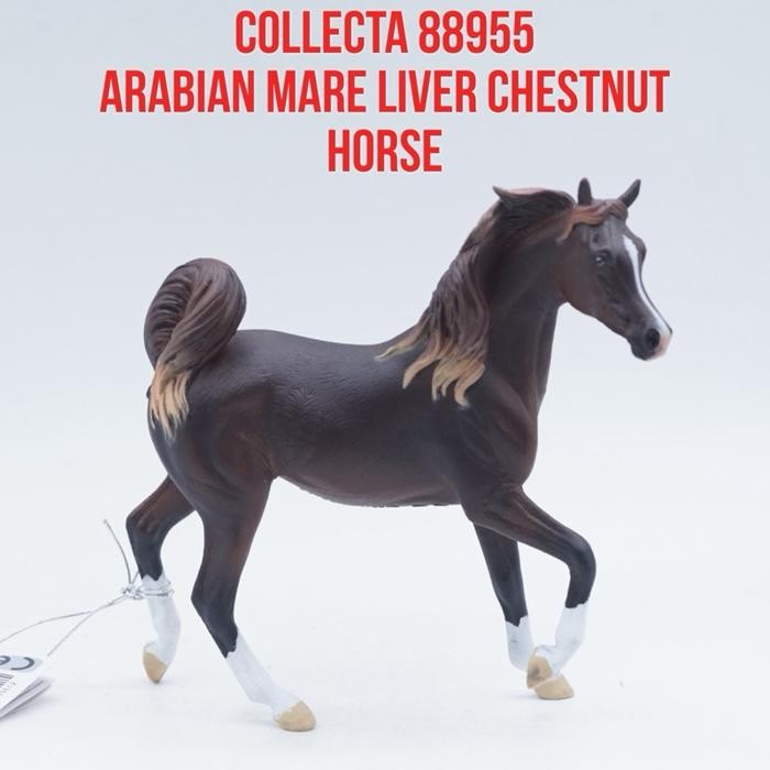 Collecta 88955 Arabian Mare Liver Chestnut Horse Kuda Betina Arabian Berwarna Coklat Hati Equus caba