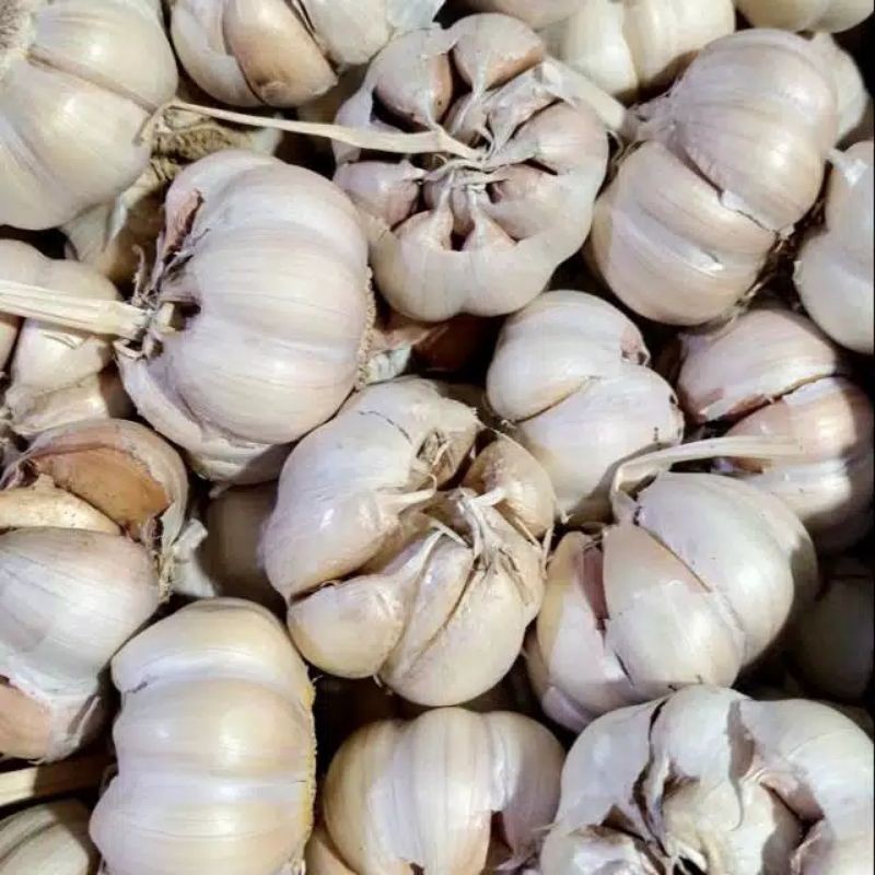 

Bawang Putih 1kg barang fress