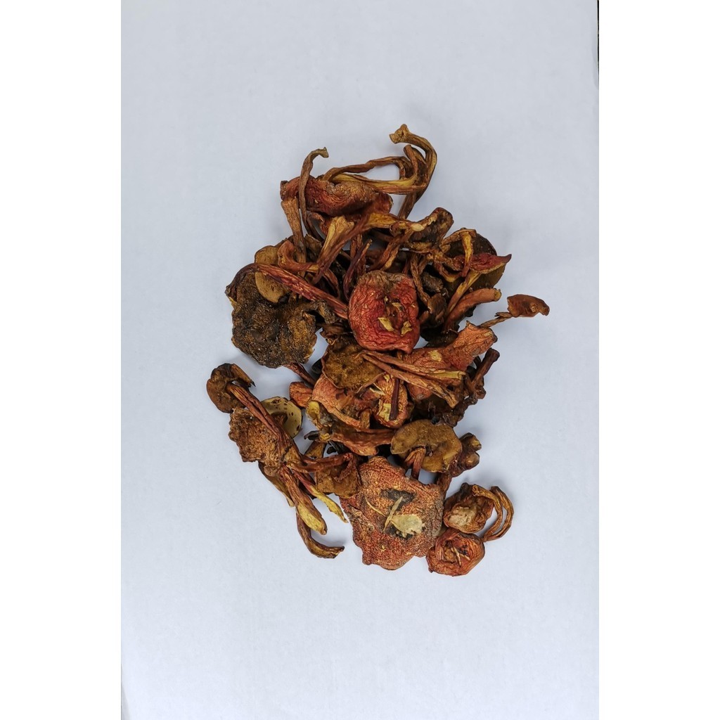 

Jamur Kulat Pelawan Bangka Belitung