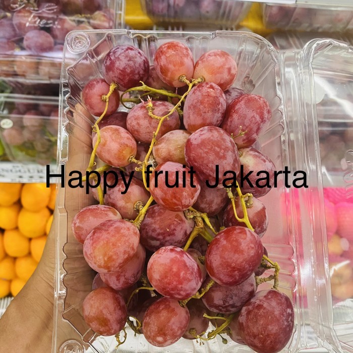 

Anggur red globe USA | Buah anggur fresh super manis 1kg