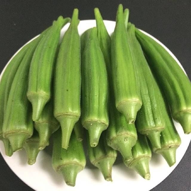 5  Benih Okra Hijau GREENIE bendi KnownYou Seed