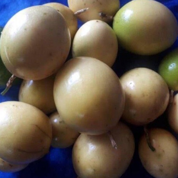 

buah markisa 1kg fres