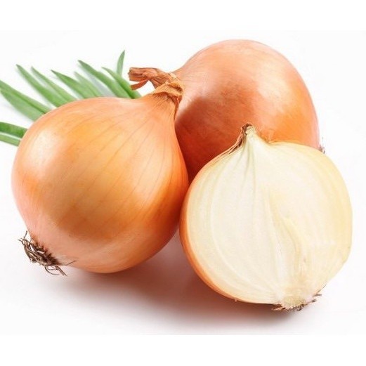 

BAWANG BOMBAY (pack ± 500gr)