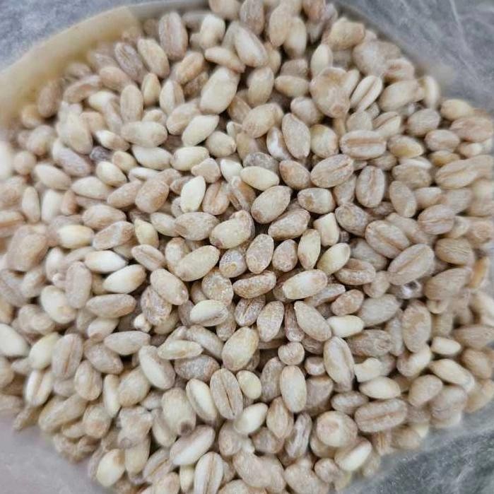 

1kg Pearl Barley / Biji Jali - Jali [Natural Organic] - Grade A