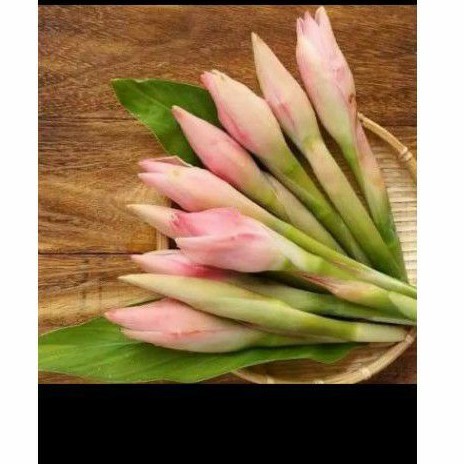 

Bungga kecomrang/rombeh bunga comrang segar AF