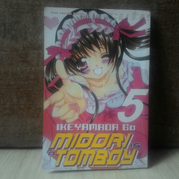 Komik Midori is a Tomboy jilid 5