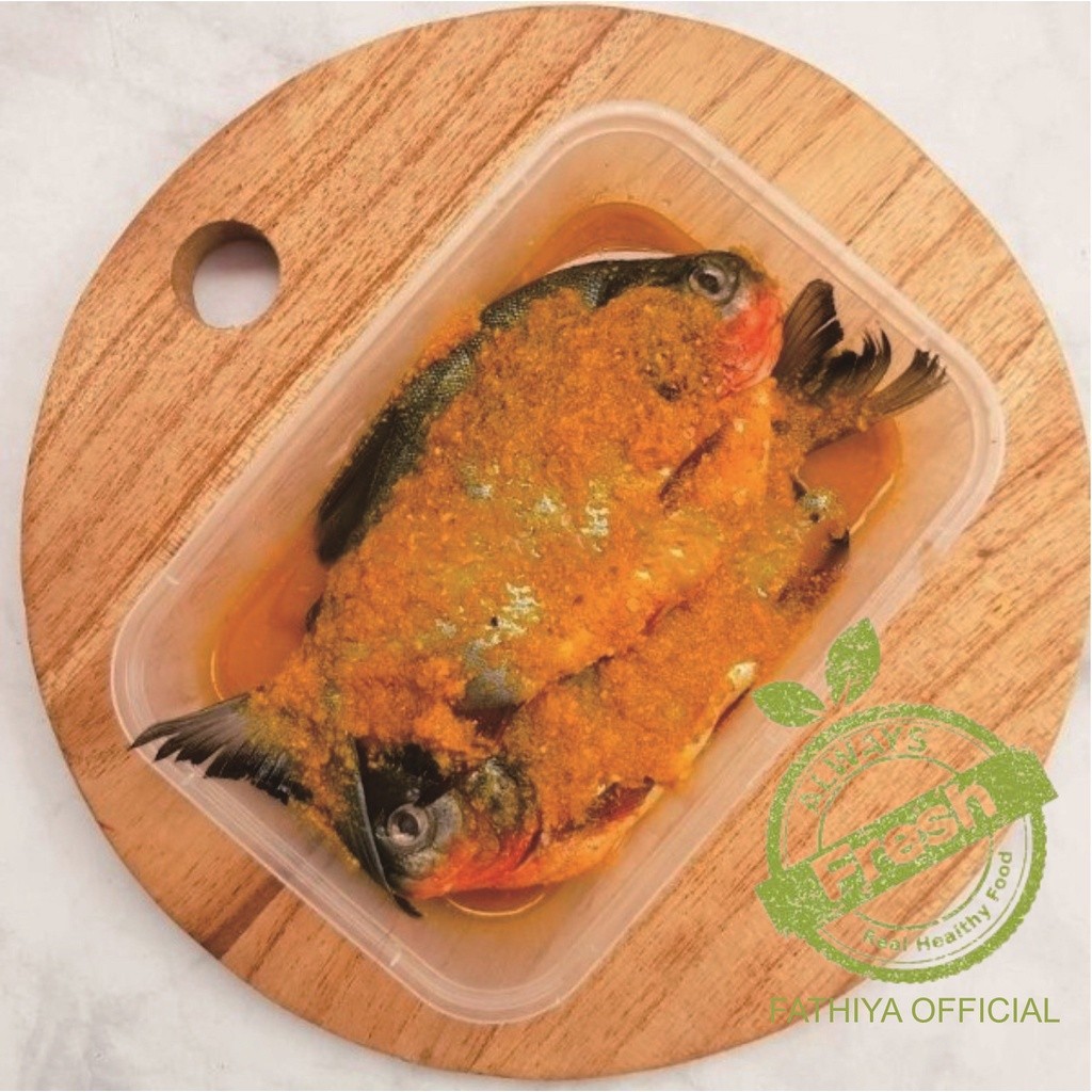 

Ikan Marinasi Bumbu Kuning – Siap Goreng, Ikan Mas, Nila, Lele, Gurame