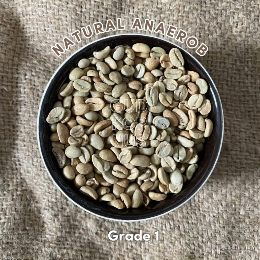 

Green Bean Arabica Natural Anaerob Malabar - Biji Kopi Mentah 1kg by Jaad Coffee