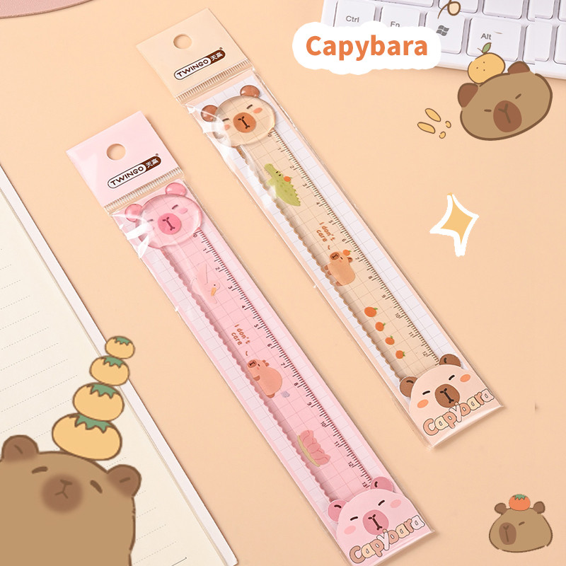 

kawaii stationery Aesthetic stationery back to school acsesories School supplies drawing cute capybara ruler school things