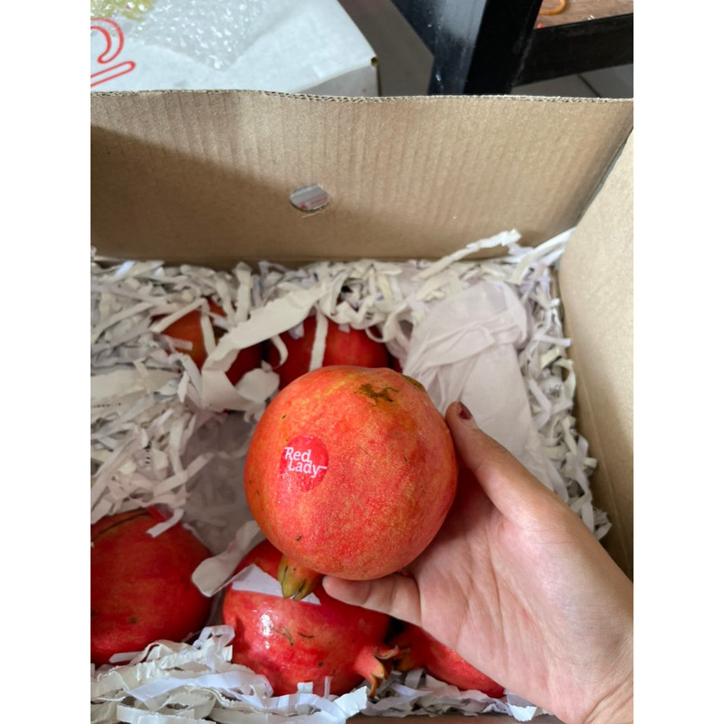 

Delima india harga 1 kg kurleb