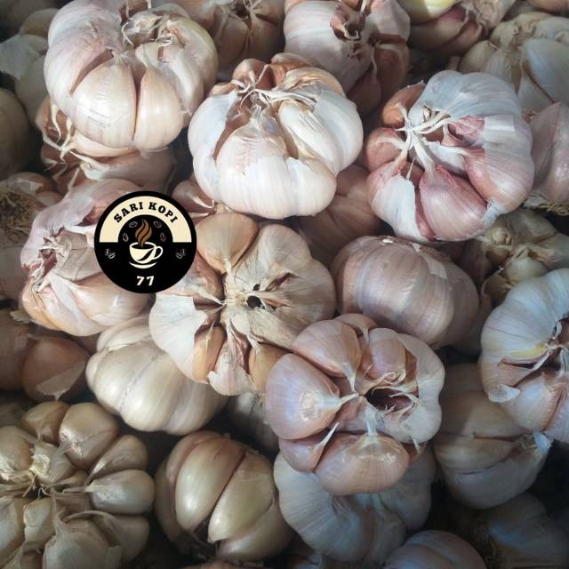 

Bawang Putih bersih kemasan 1 kg