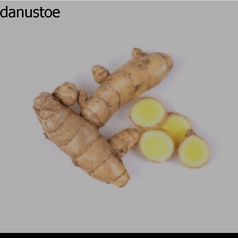 

Temu putih kunyit putih asli Dari hutan 500gram