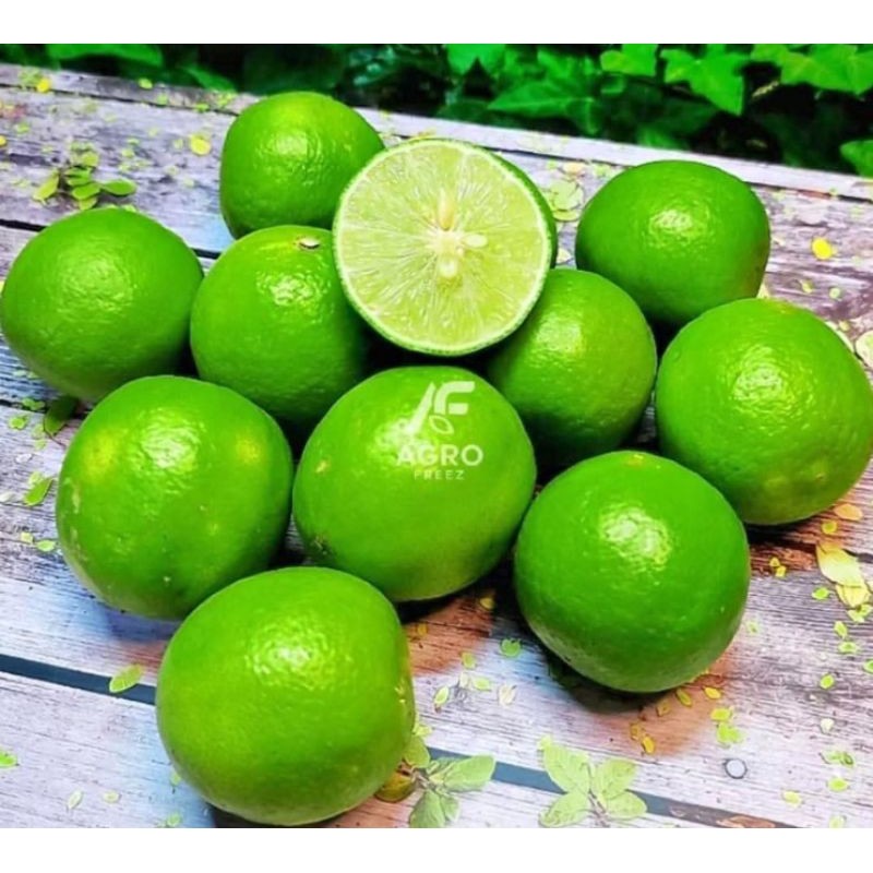 

Jeruk Nipis 250 gram