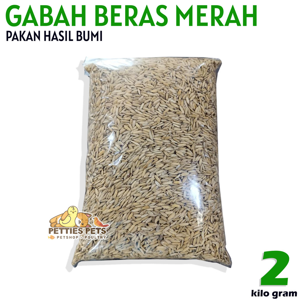 PTS 2 KG GABAH PADI BERAS MERAH MURAH PAKAN AYAM DAN BURUNG