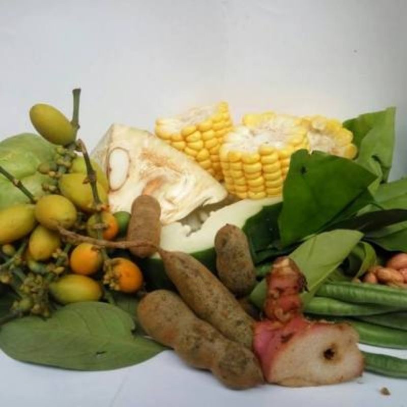

1 Pack Sayur Asem / Sayur Sop Brastagi / Sayur Lodeh – Paket Sayur Segar dan Nikmat