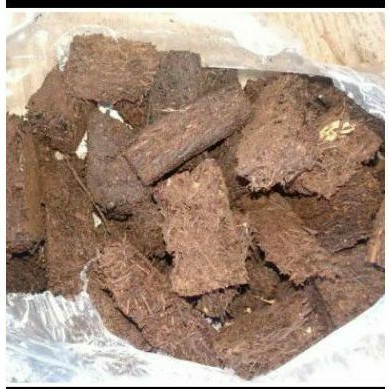 Media tanam anggrek cacah pakis chip/ cacah pakis kotak 250 gram DN