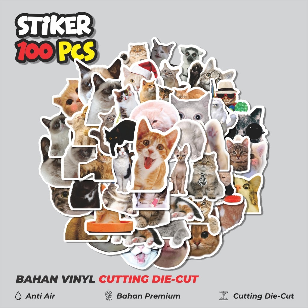 

Terbaru! 50 pcs Stiker Hewan Funny Cat/Kucing Dekorasi Lucu Kreatif untuk Notebook, Skateboard, HP