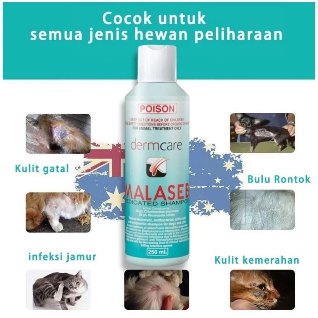 Arjunawiwaha17 Shampo Kucing Anjing Malaseb 250Ml - Obat Jamur, Gatal, Bulu Rontok, Anti Infeksi