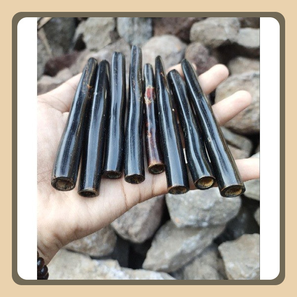 Once Pipa Akar Bahar Atau Tali Arus Panjang Bervariasi