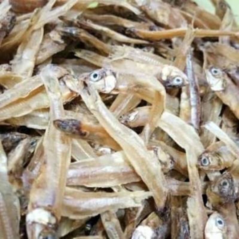 

Aneka Teri Segar (Medan, Jengki, dll)