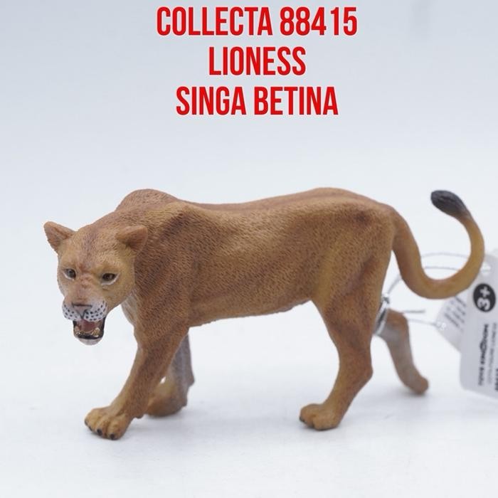 Collecta 88415 Lioness African Lion Singa Afrika Betina Panthera Leo  Mainan Binatang Miniature Hewa