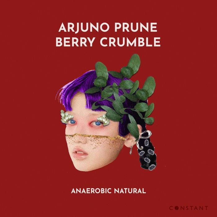 

Biji Kopi Specialty Arjuno Prune Berry Crumble - Constant Beans - 200 gram
