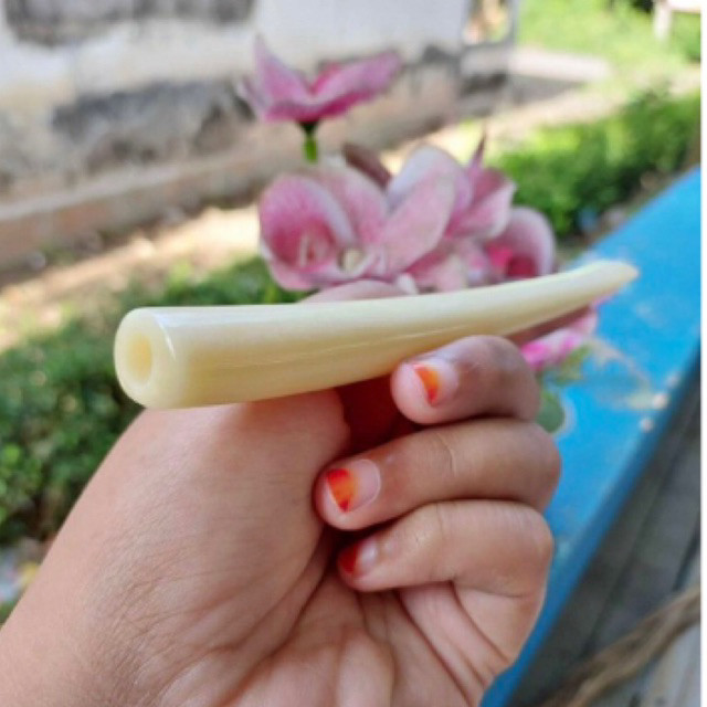 once pipa pipe tulang sapi superan seperti igduy bervariasi