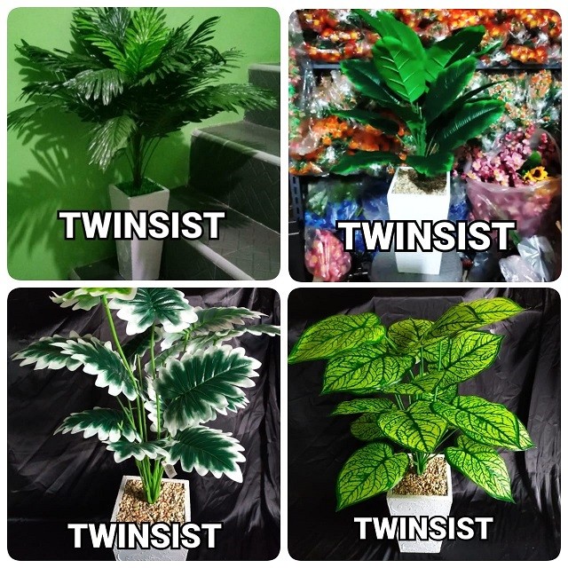TERMURAH Pohon Keladi / Palem Sikas Monstera Plastik Artificial Palsu Tinggi 80 cm / Pohon Hias Plas