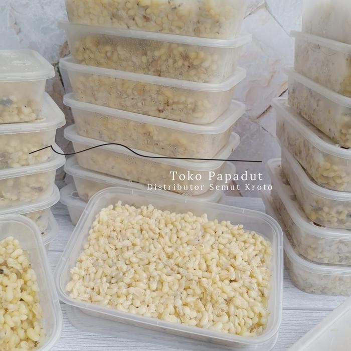 

KROTO KHUSUS TELOR BESAR FREZZER BEKU !! / 250GR / TOKO PAPADUT - 250gr