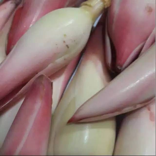 

Bunga kecombrang atau romeh