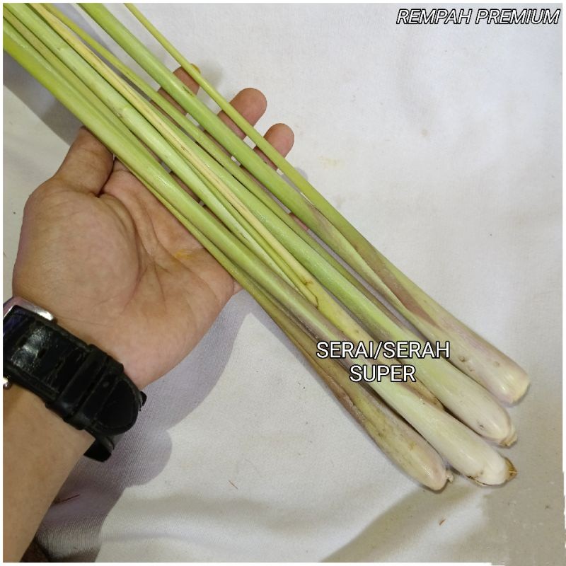 

Serai / Sereh 250 gram Fresh Super