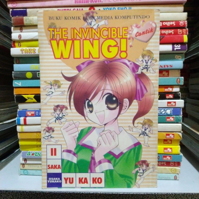 Komik The Invincible Wing