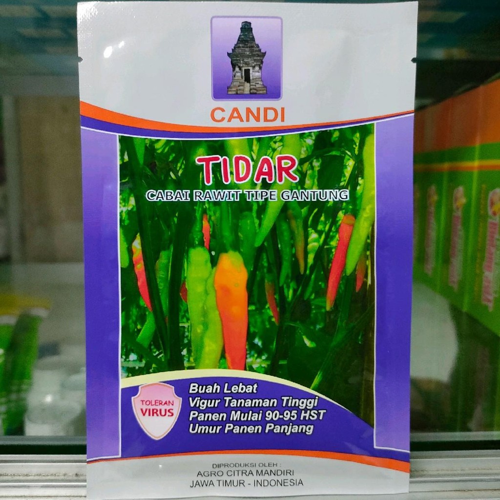 Cabe Tidar Kemasan 10gr Tahan Virus Original Pabrik